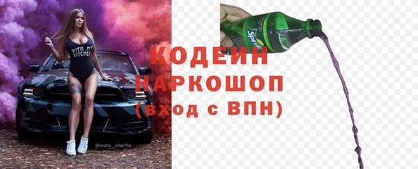амф Бородино