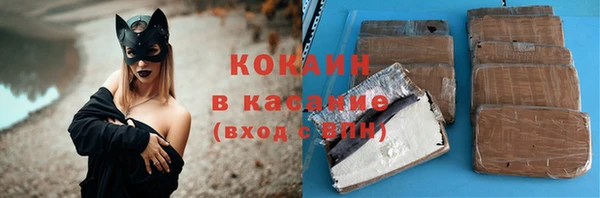 амф Бородино