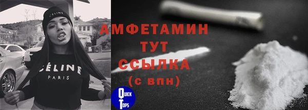 амф Бородино