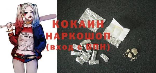 амф Бородино