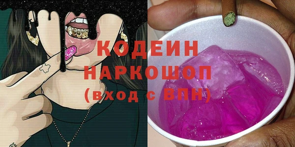 амф Бородино