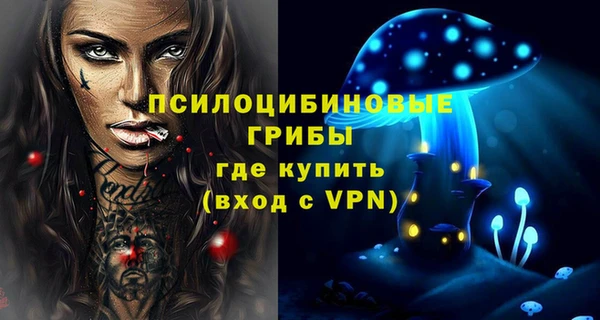 амф Бородино