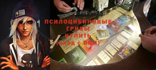 амф Бородино