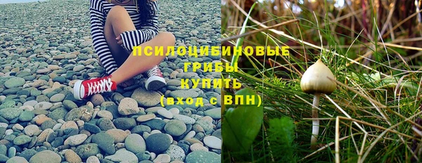 амф Бородино