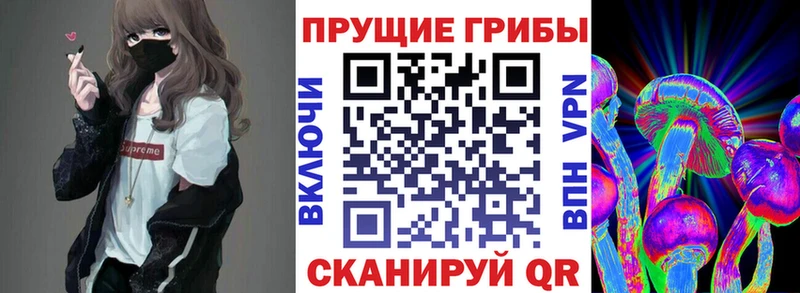 где найти наркотики  Ижевск  ОМГ ОМГ зеркало  Псилоцибиновые грибы Magic Shrooms 